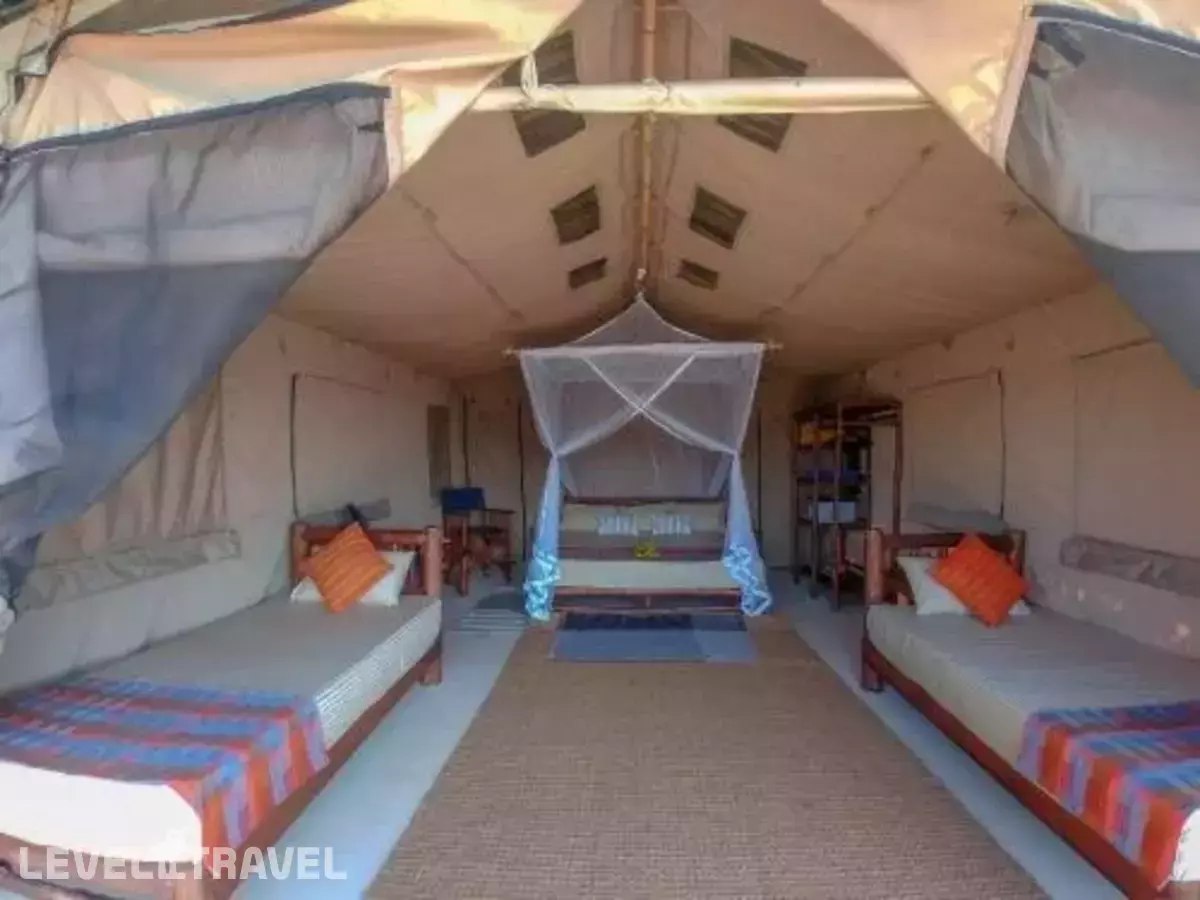 Back Of Beyond Dune Camp - Yala