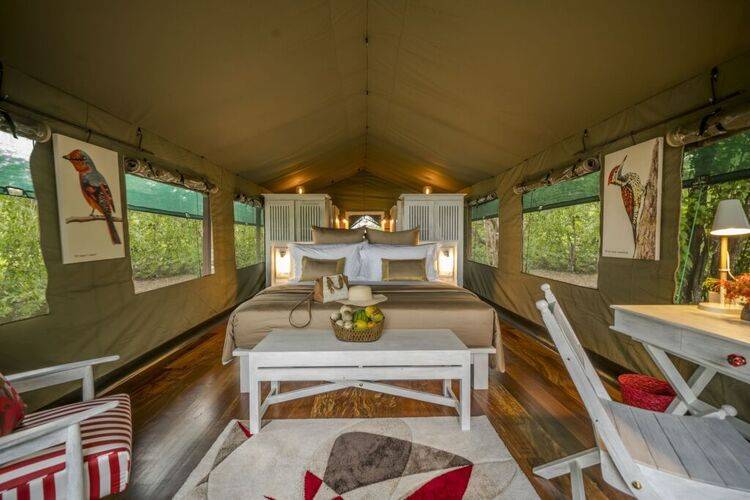 Flameback Eco Lodge