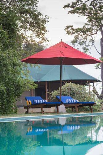 Flameback Eco Lodge