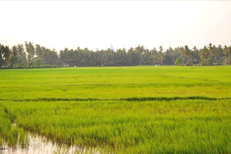 Kethaka Aga