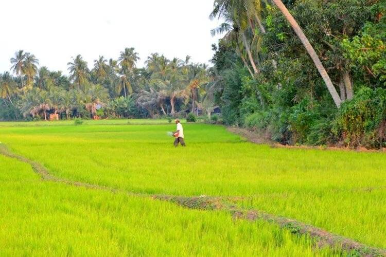 Kethaka Aga