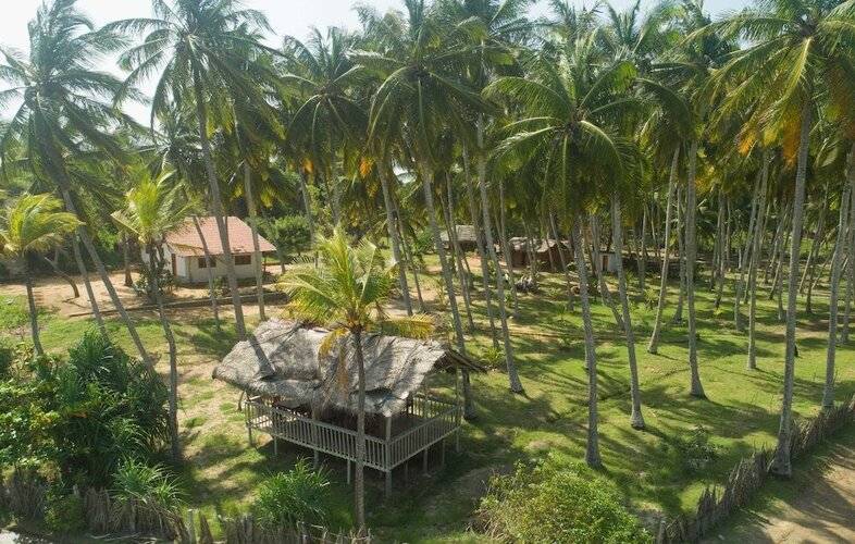 Redhill Yala