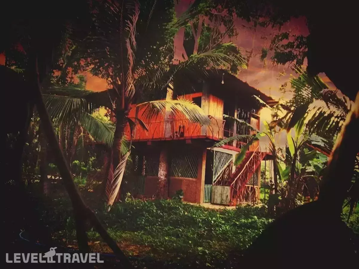 Wooden Paracosm & Resort