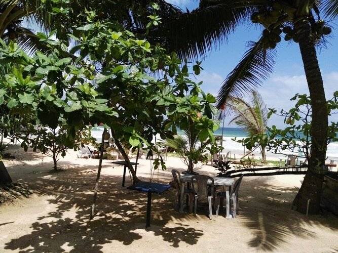 King Coconut Lodge