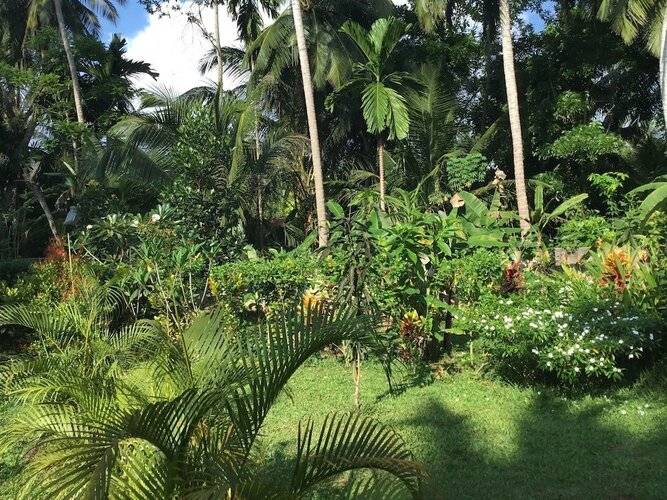 King Coconut Lodge