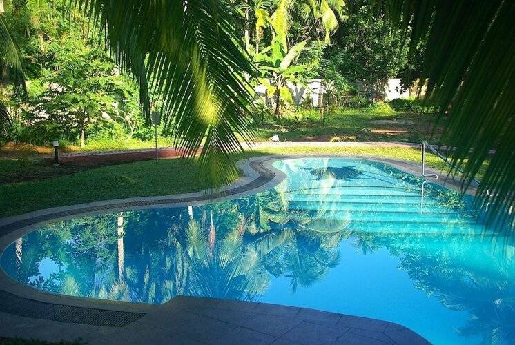 King Coconut Lodge