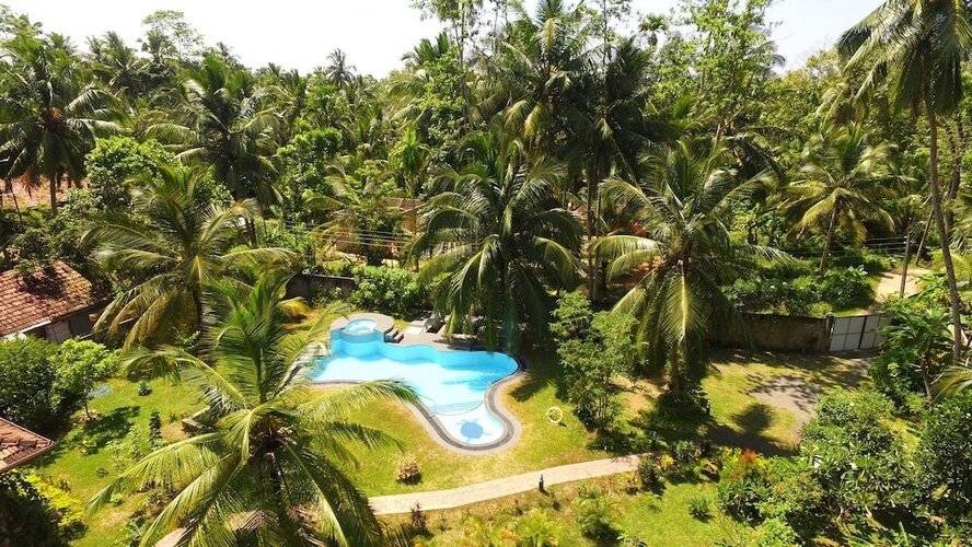 King Coconut Lodge