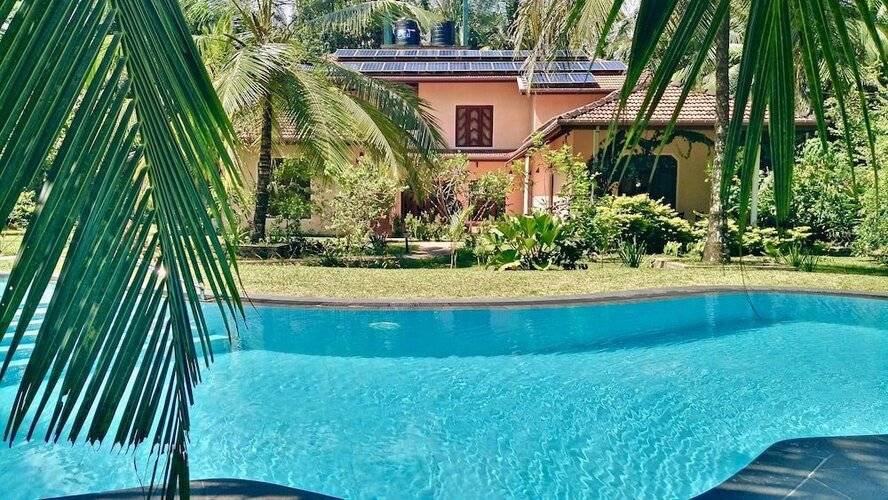 King Coconut Lodge