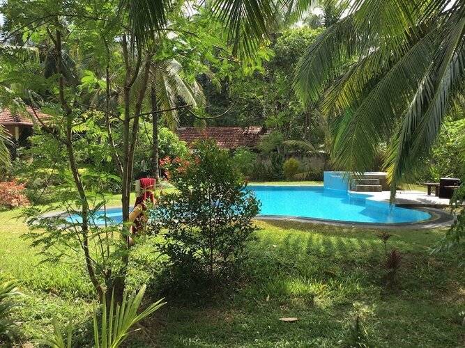 King Coconut Lodge