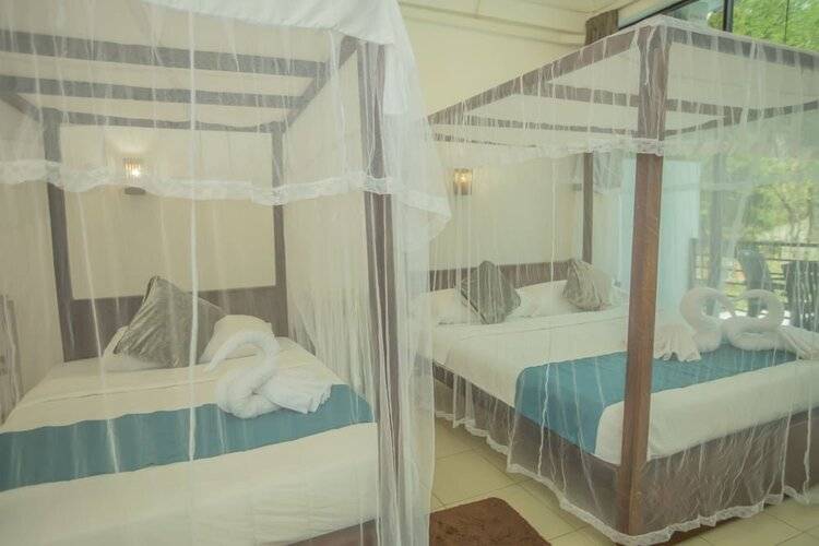 Lily's Resort