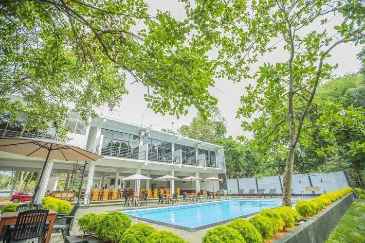 Lily's Resort