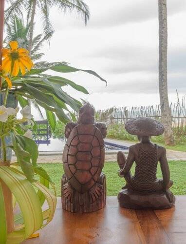Turtle Bay