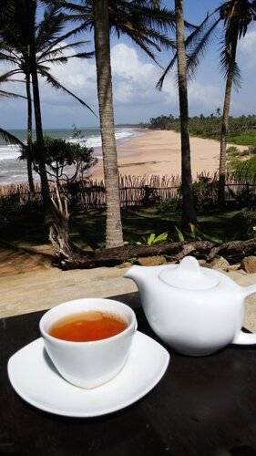 Turtle Bay