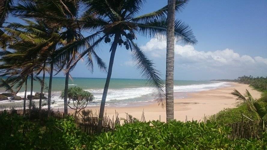 Turtle Bay