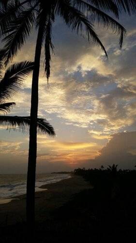 Turtle Bay