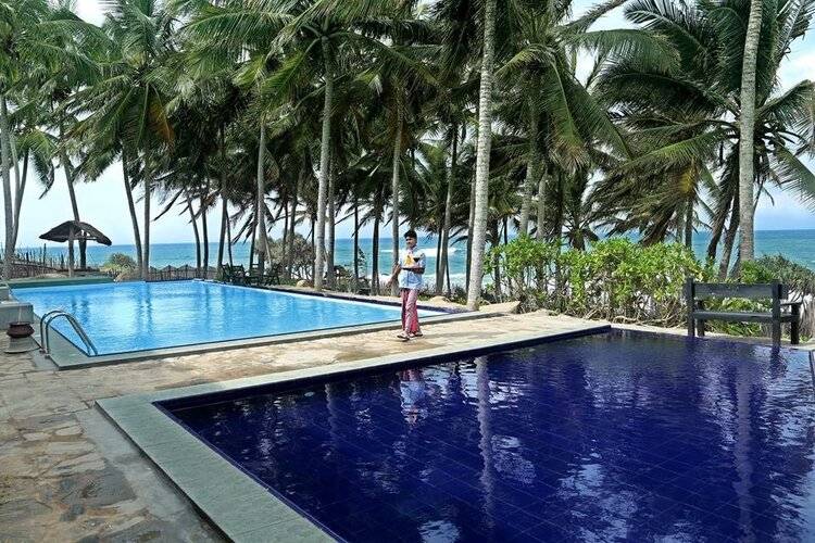 Turtle Bay