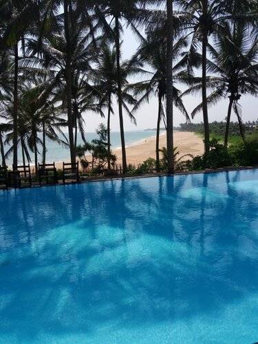 Turtle Bay
