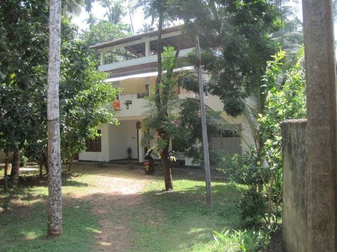 Jungleside House