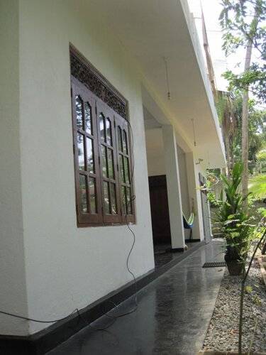 Jungleside House