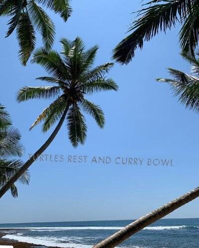 Turtles Rest And Curry Bowl