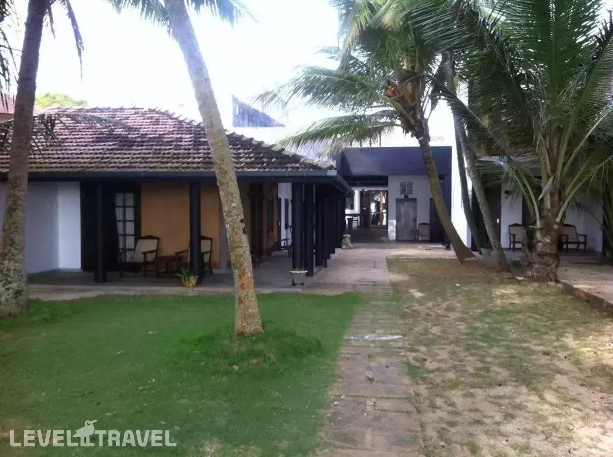 Turtles Rest And Curry Bowl