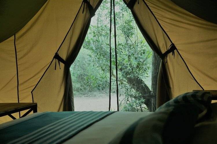 Base Camp Wilpattu