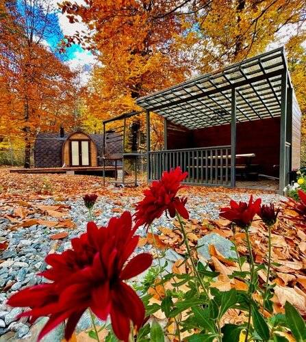 Мини-Отель Wood Village