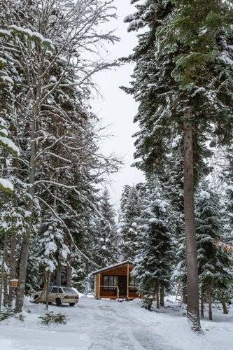 База Отдыха Forest House Resort