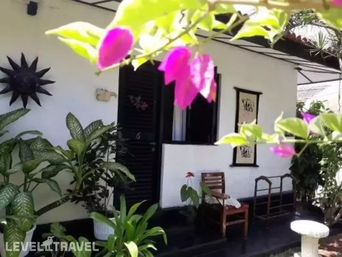 The Icebear Guesthouse