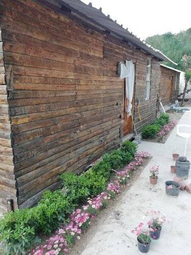 Lime Tree Houses