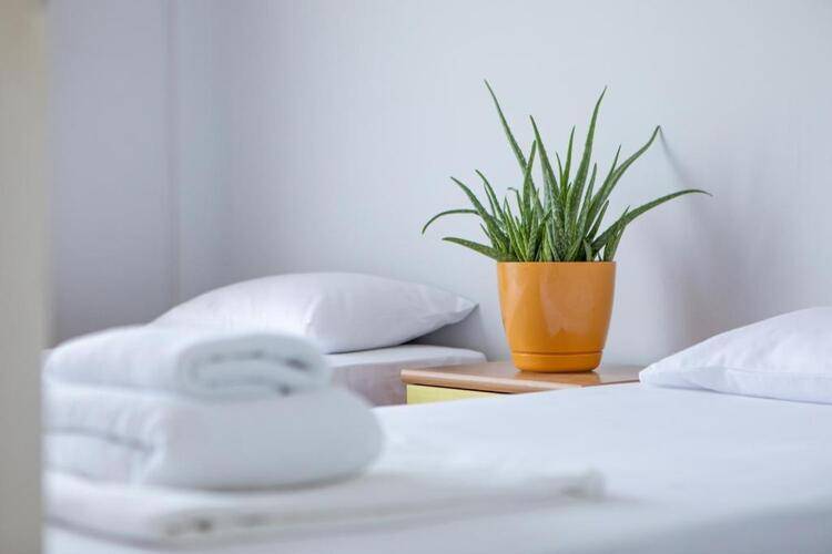 Olya Boutique Hotel