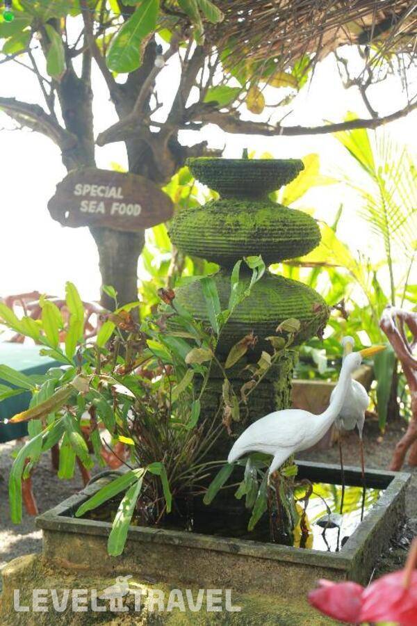 фотографии отеля Moon Beam Beach Hotel в Шри-Ланка(Хиккадува) - фото №11