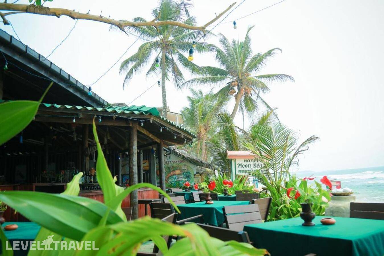 фотографии отеля Moon Beam Beach Hotel в Шри-Ланка(Хиккадува) - фото №30