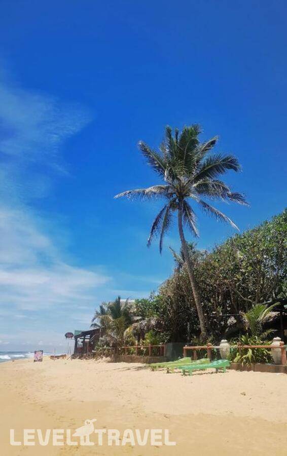 фотографии отеля Moon Beam Beach Hotel в Шри-Ланка(Хиккадува) - фото №34