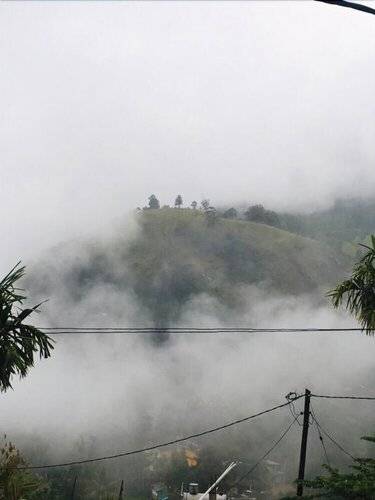 Adannz View