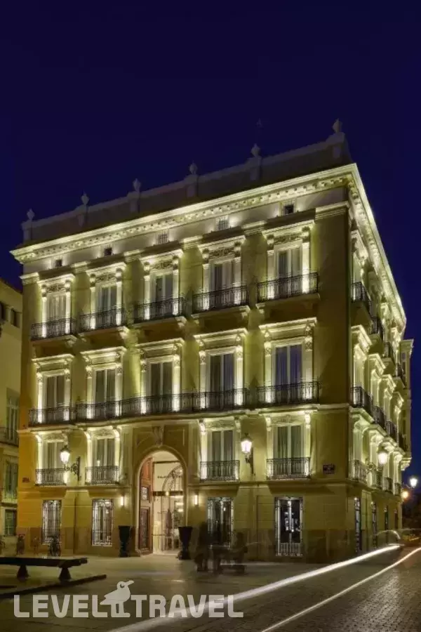 Hotel Palacio Vallier