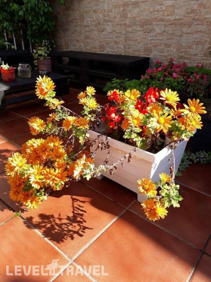 Изображение отеля 13