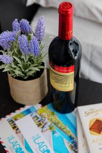Blue Lagoon Kosher Hotel
