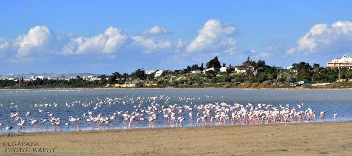 Pelides Apartments