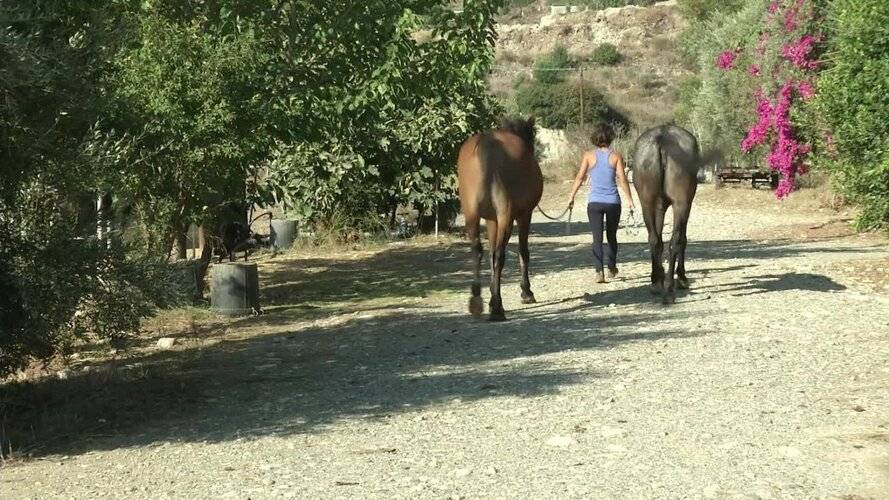 Cyprus Villages Agrotourism