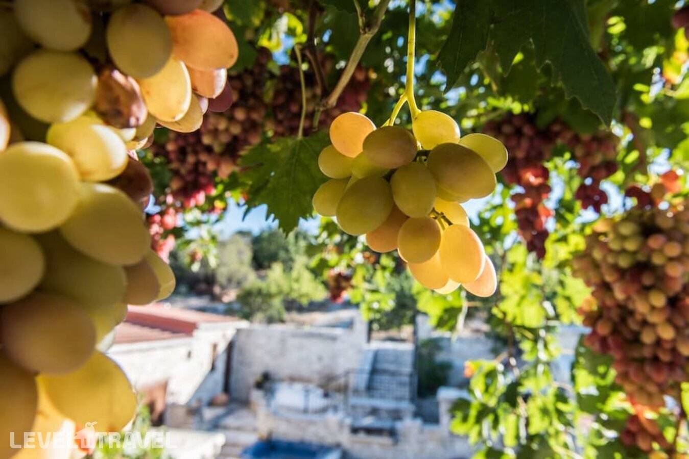 Изображение отеля 3