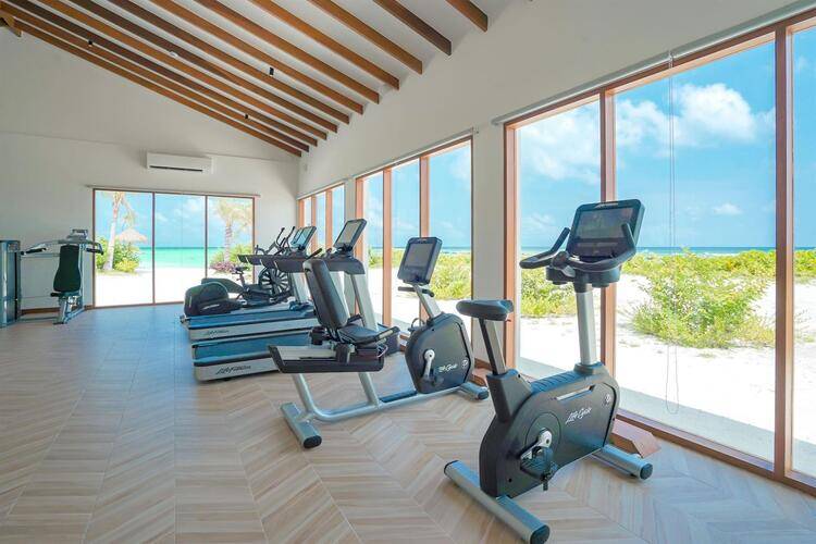 Joy Island