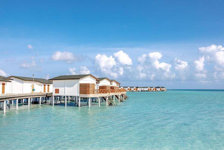 Joy Island