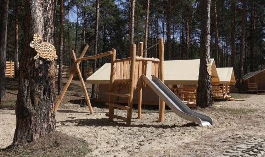 Сны Леса