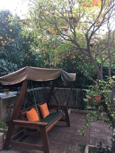 Orange Garden