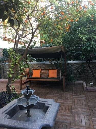 Orange Garden