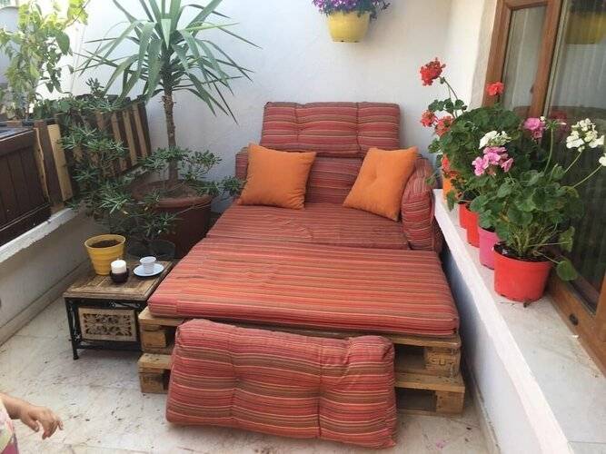 Orange Garden