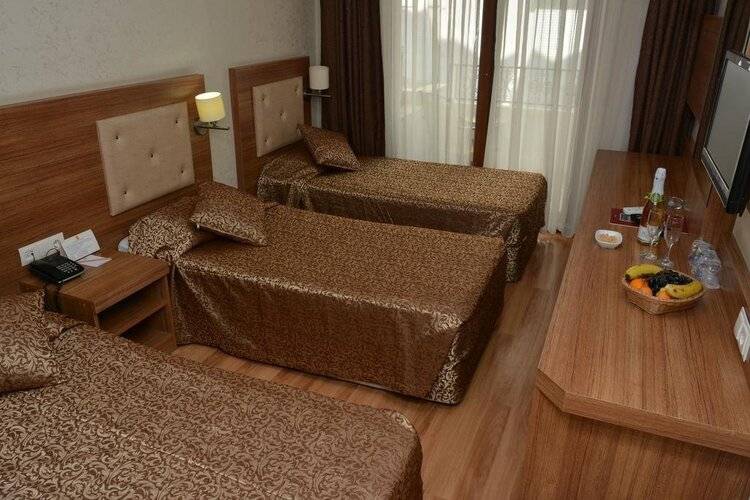 Tema 242 Hotel
