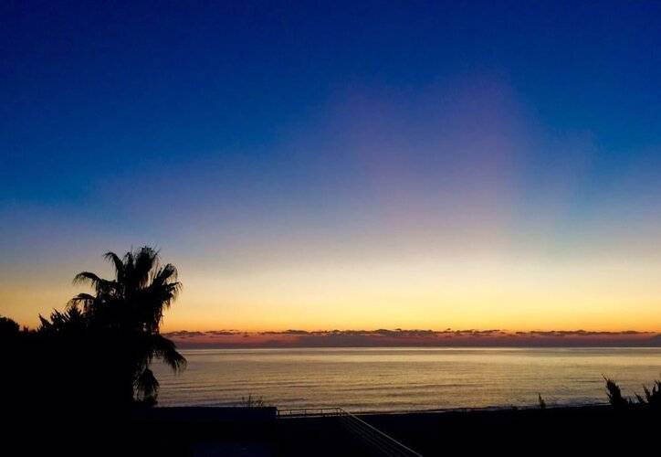 Avalon Beach Hotel