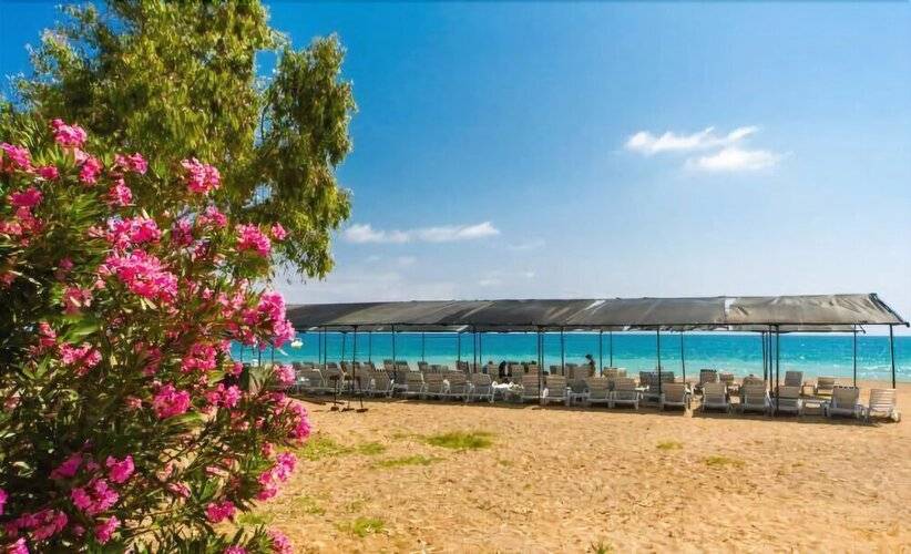 Avalon Beach Hotel